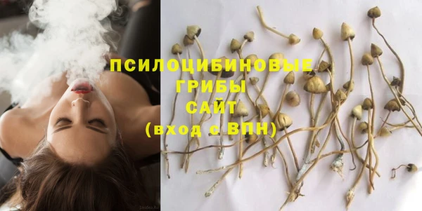 индика Нефтекумск