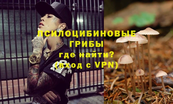 прущие грибы Нея