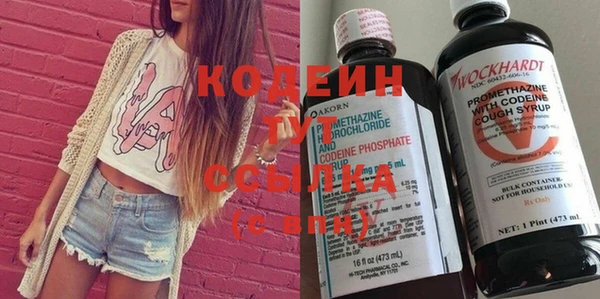 прущие грибы Нея