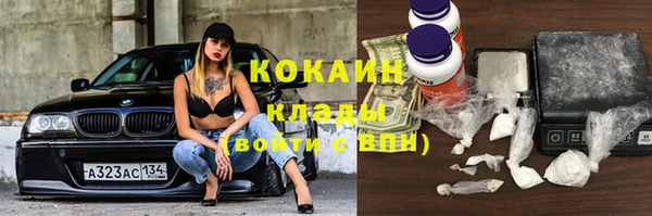 крисы Абдулино